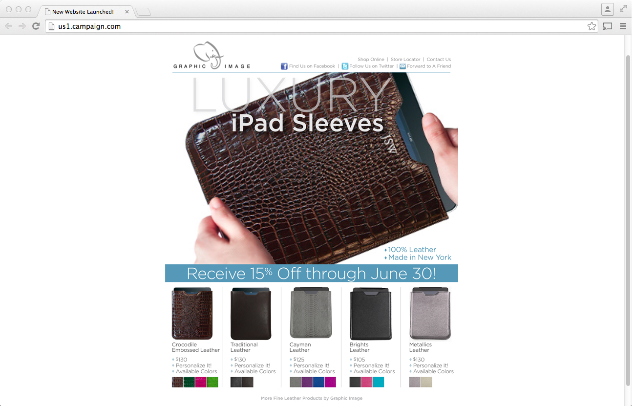 Email Marketing Ipad Case